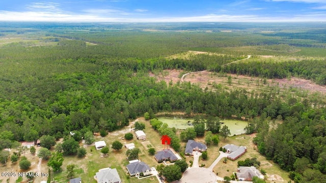 32238 Settlers Ridge Dr, Bryceville, FL 32009 - aerial view of property's location featuring a heavily wooded area