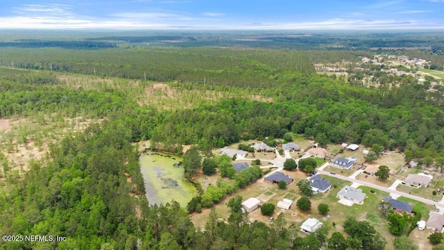 32238 Settlers Ridge Dr, Bryceville, FL 32009 - aerial view of property and surrounding area with a heavily wooded area