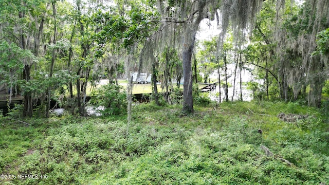 8509 Florence Cove Rd, Saint Augustine, FL 32092 - photo 12