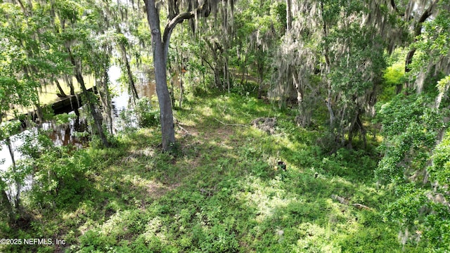 8509 Florence Cove Rd, Saint Augustine, FL 32092 - photo 14