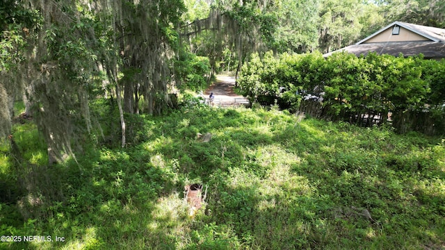 8509 Florence Cove Rd, Saint Augustine, FL 32092 - photo 15