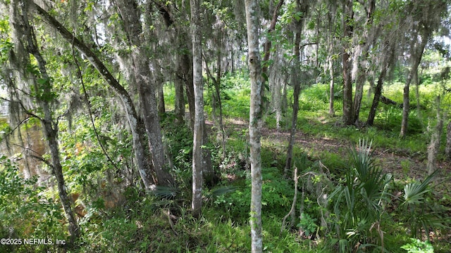 8509 Florence Cove Rd, Saint Augustine, FL 32092 - photo 19