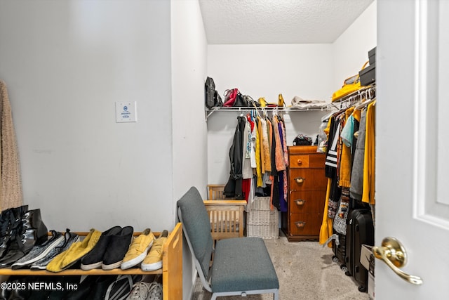 766 Candlebark Dr, Jacksonville, FL 32225 - view of spacious closet