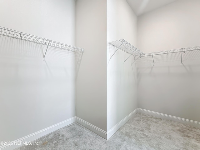 232 Caiden Dr, Ponte Vedra, FL 32081 - spacious closet with carpet