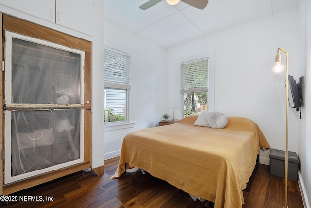 2720 Apache Ave, Jacksonville, FL 32210 - bedroom with multiple windows, a ceiling fan, and wood finished floors