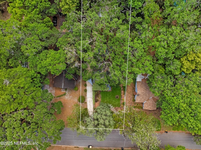 2720 Apache Ave, Jacksonville, FL 32210 - aerial view