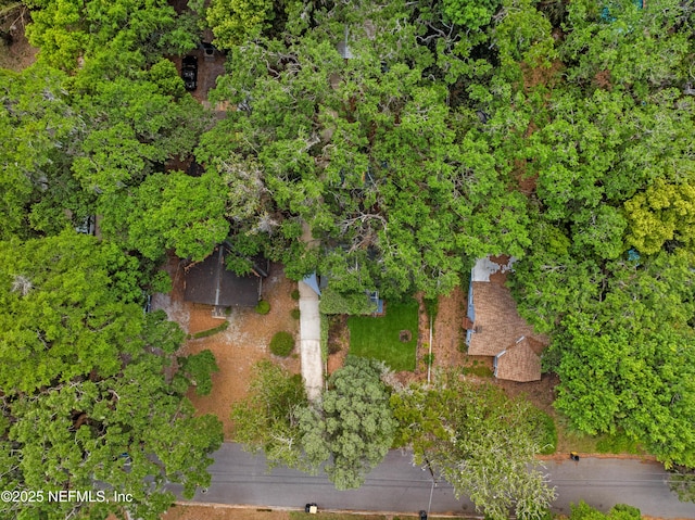 2720 Apache Ave, Jacksonville, FL 32210 - bird's eye view