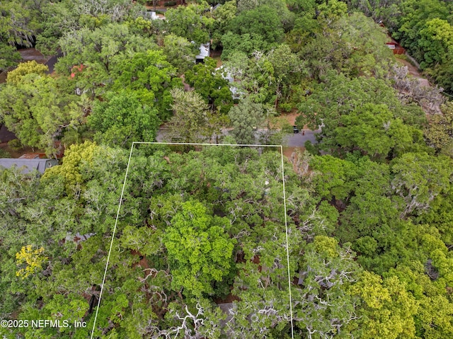 2720 Apache Ave, Jacksonville, FL 32210 - drone / aerial view featuring a view of trees