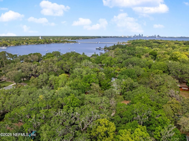 2720 Apache Ave, Jacksonville, FL 32210 - birds eye view of property featuring a water view and a forest view