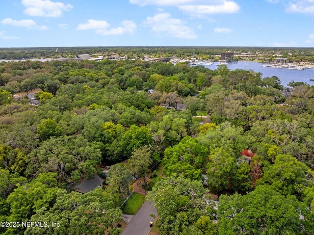 2720 Apache Ave, Jacksonville, FL 32210 - drone / aerial view with a view of trees and a water view