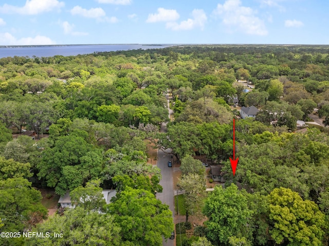 2720 Apache Ave, Jacksonville, FL 32210 - drone / aerial view featuring a wooded view