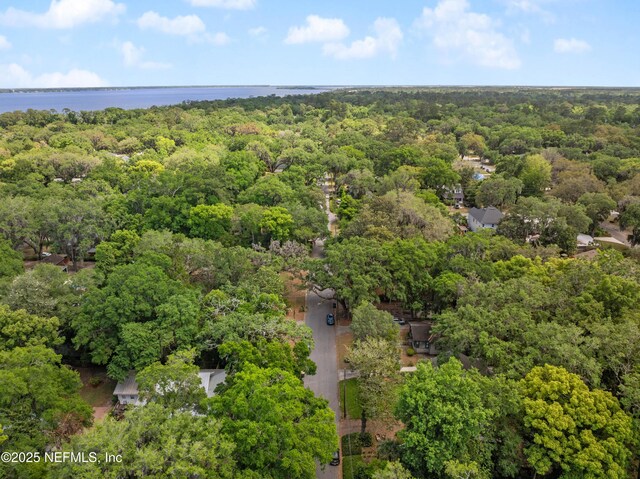 2720 Apache Ave, Jacksonville, FL 32210 - aerial view with a forest view