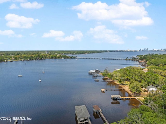 2720 Apache Ave, Jacksonville, FL 32210 - view of water feature