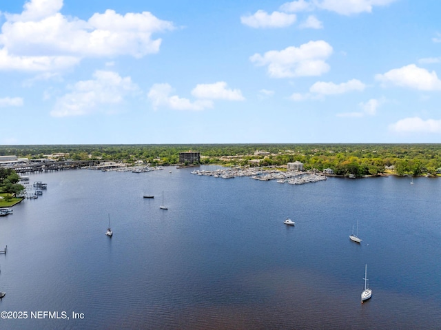 2720 Apache Ave, Jacksonville, FL 32210 - view of water feature
