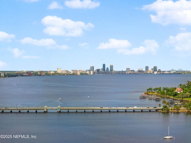 2720 Apache Ave, Jacksonville, FL 32210 - water view with a city view