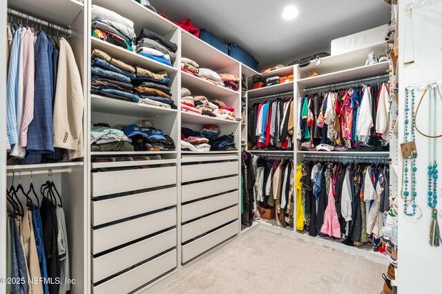 49 Golden Fern Dr, Saint Augustine, FL 32092 - walk in closet with carpet flooring