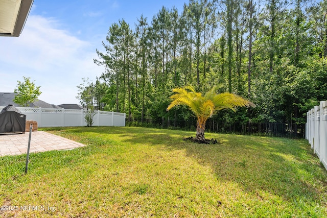 49 Golden Fern Dr, Saint Augustine, FL 32092 - view of yard with a patio