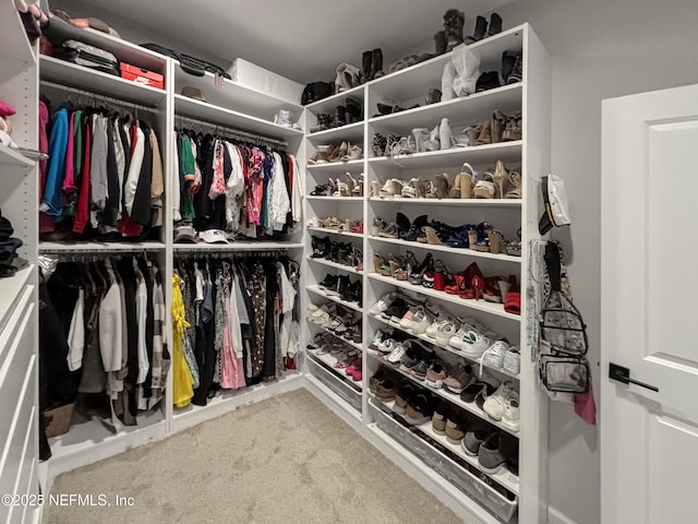 49 Golden Fern Dr, Saint Augustine, FL 32092 - walk in closet featuring carpet
