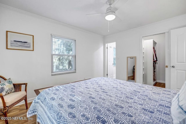 bedroom with a walk in closet, baseboards, wood finished floors, ornamental molding, and a closet