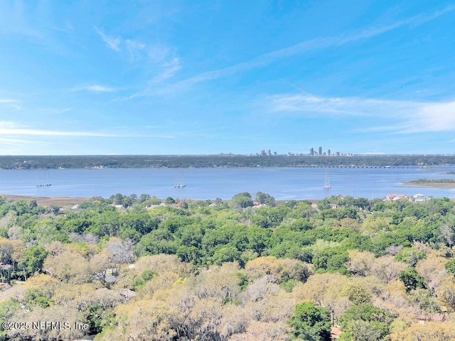 property view of water