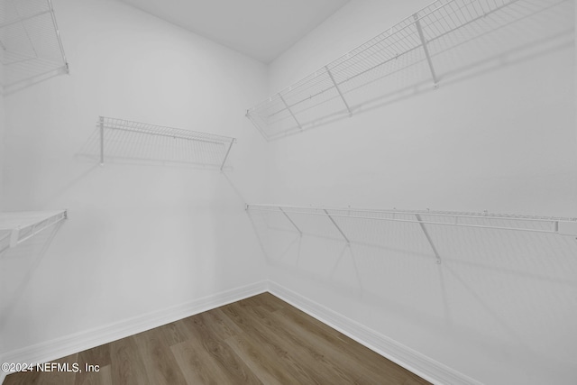 spacious closet with dark wood-style flooring