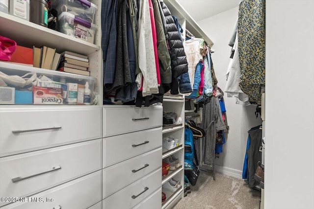 walk in closet featuring carpet floors