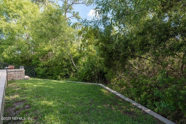 view of yard