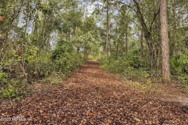 view of landscape featuring a view of trees