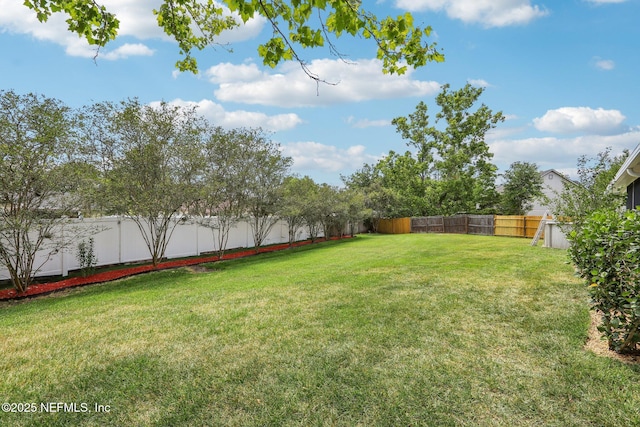 5914 Orchard Pond Dr, Fleming Island, FL 32003 - view of yard
