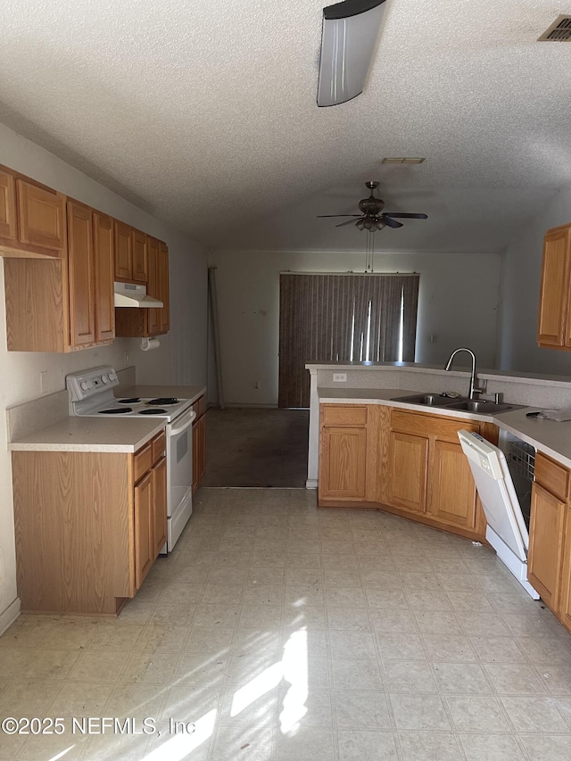 2990 Brittany Bluff Dr, Orange Park, FL 32073 - kitchen featuring visible vents, white appliances, light countertops, under cabinet range hood, and a sink