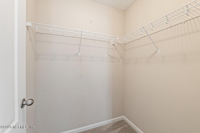 3149 Silverado Cir, Green Cove Springs, FL 32043 - walk in closet with carpet floors