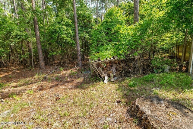 3149 Silverado Cir, Green Cove Springs, FL 32043 - view of yard