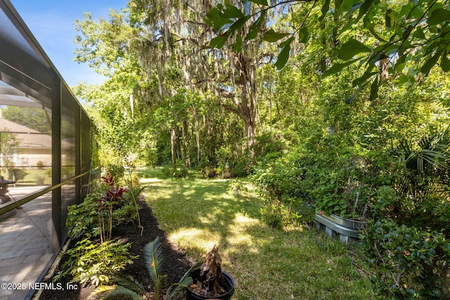 view of yard featuring a lanai