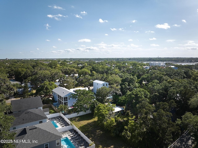 bird's eye view