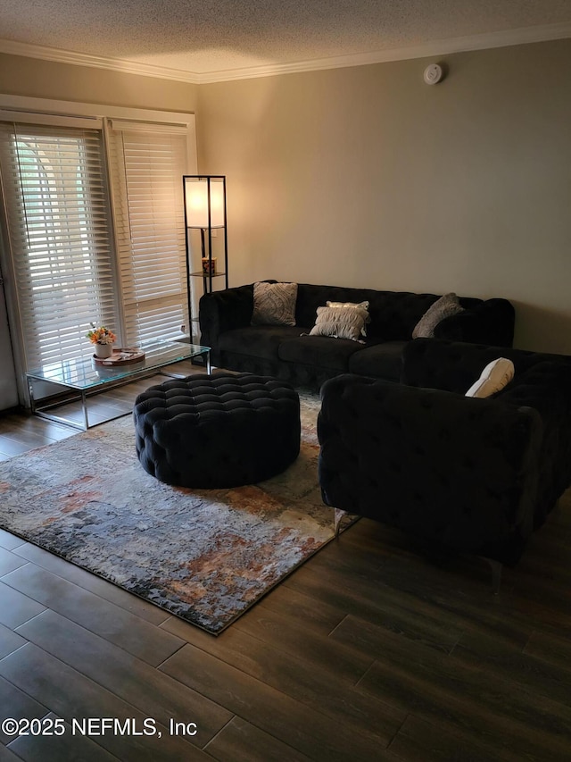 3857 Mission Dr Unit 3, Jacksonville, FL 32217 - living room featuring ornamental molding, wood finished floors, and a textured ceiling