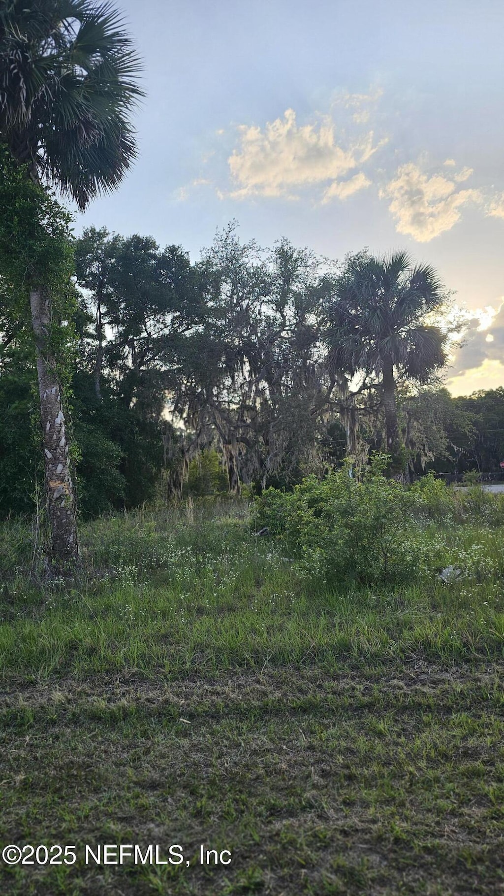 0 Live Oak Loop, Crescent City, FL 32112