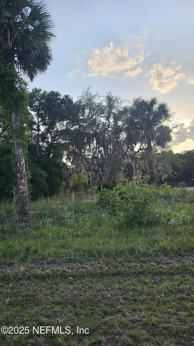 0 Live Oak Loop, Crescent City, FL 32112
