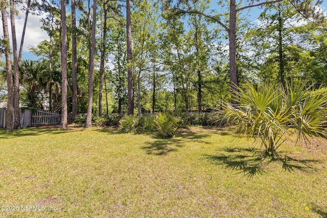 3103 Mystic Falls Dr, Jacksonville, FL 32224 - photo 26