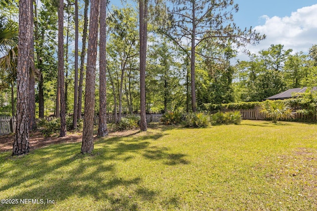 3103 Mystic Falls Dr, Jacksonville, FL 32224 - photo 27