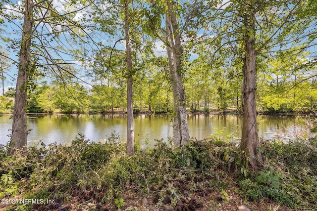 3103 Mystic Falls Dr, Jacksonville, FL 32224 - photo 28