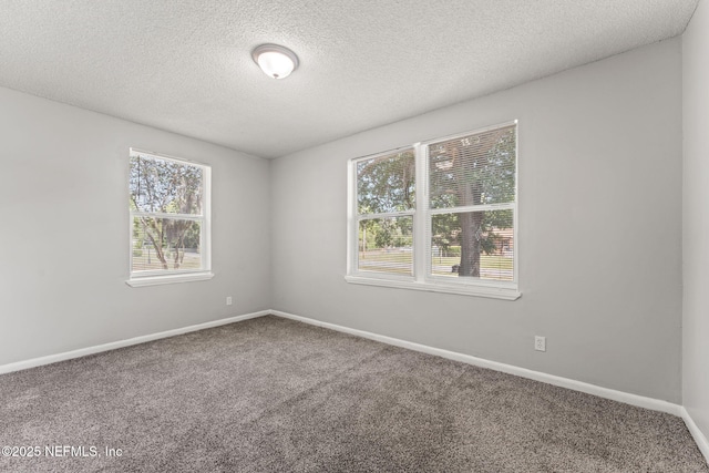 empty room with baseboards, carpet, and a textured ceiling