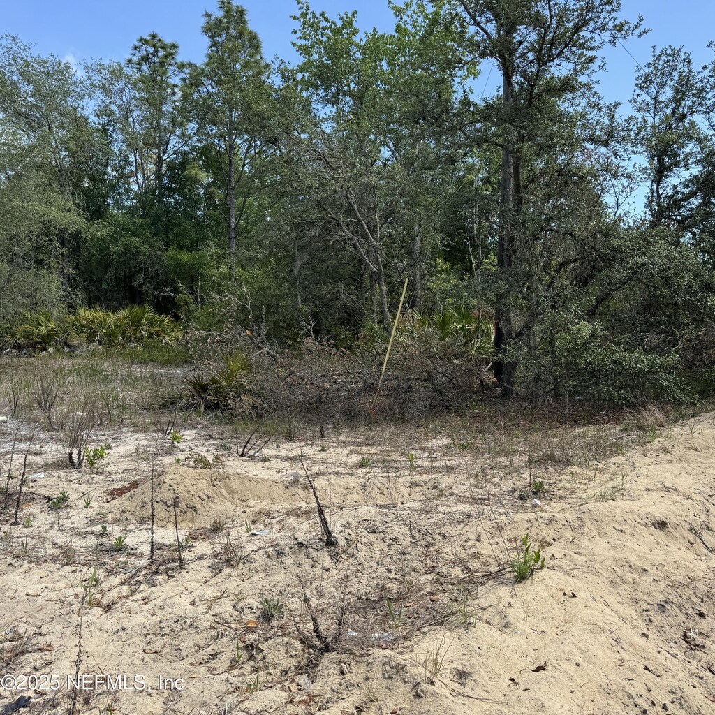 121 Brown St, Interlachen, FL 32148