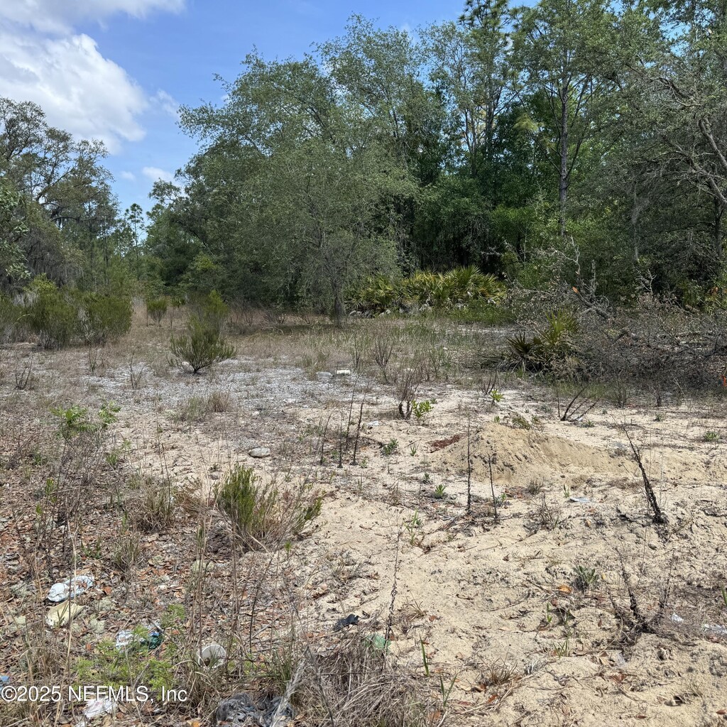 121 Brown St, Interlachen, FL 32148
