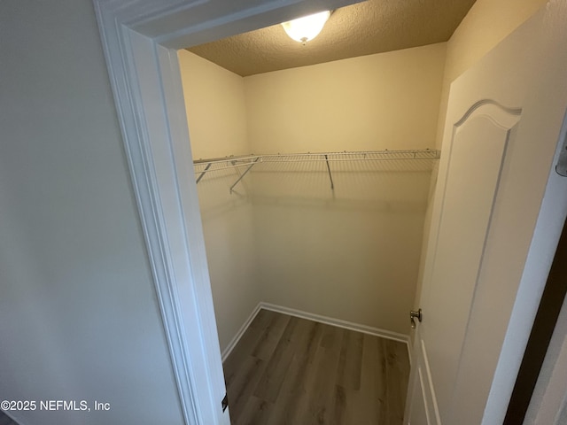 188 Irish Rose Rd, Saint Augustine, FL 32092 - walk in closet with wood finished floors
