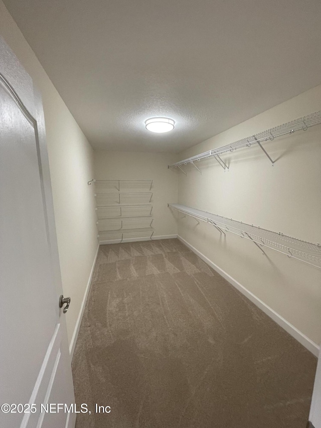 188 Irish Rose Rd, Saint Augustine, FL 32092 - spacious closet featuring carpet floors