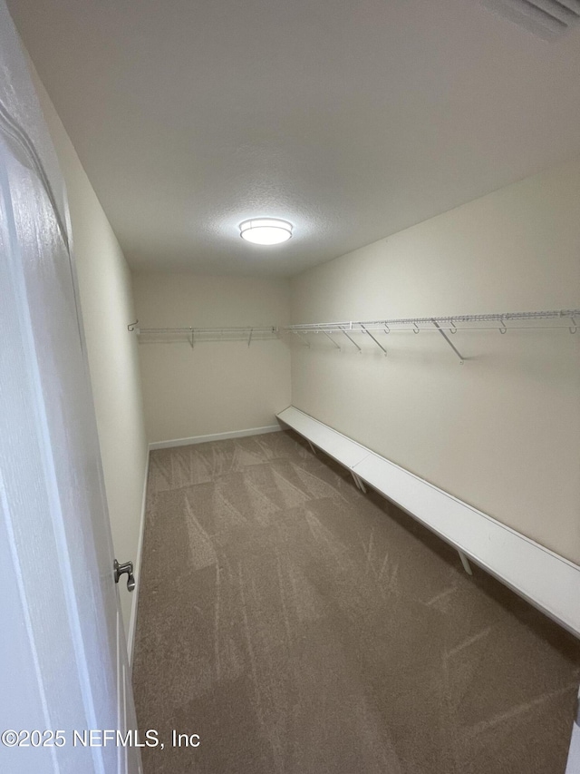 188 Irish Rose Rd, Saint Augustine, FL 32092 - spacious closet featuring carpet flooring