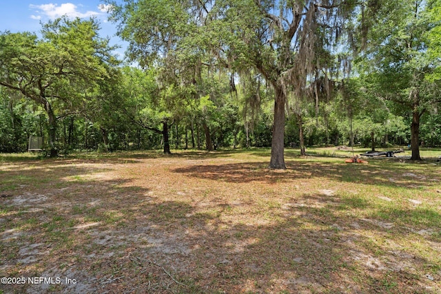 view of yard with a view of trees