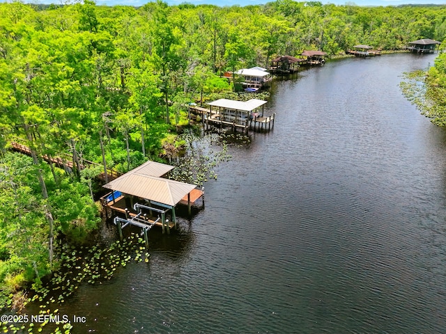 bird's eye view of a heavily wooded area and a nearby body of water