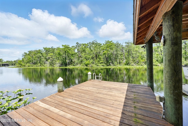 dock featuring a water view