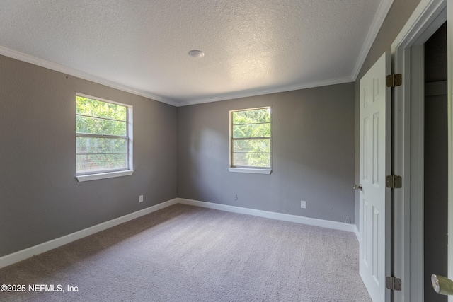 5239 Fremont St, Jacksonville, FL 32210 - photo 20